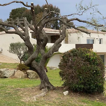 Riva Corse Vakantiehuis *